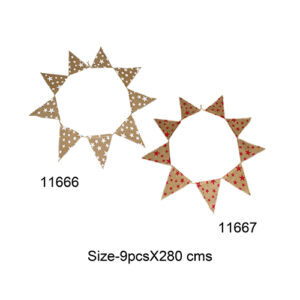 11666,11667
