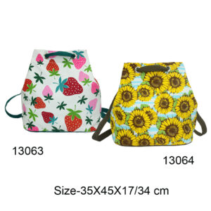 Backpacks 13063 & 13064